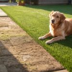 longevity of artificial grass